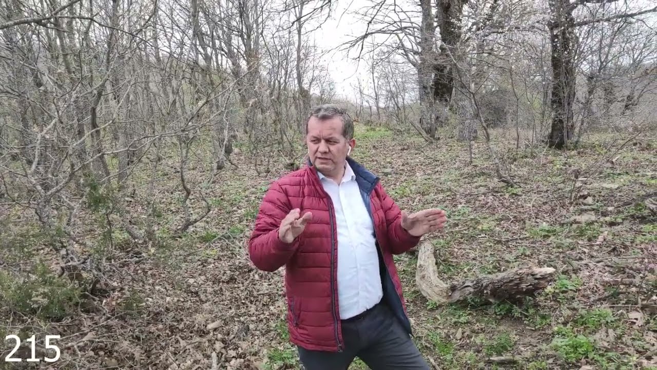 VAZGEÇTİ.....18.200 m2 Ormanlar İçinde Yer! Köye 2km. Manzaralı