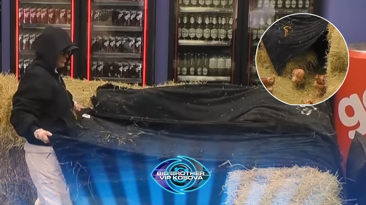 Dolce ua rregullon pulave një vend të veçantë për t’i bërë vezët.
