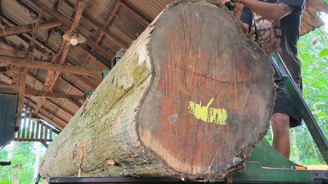 The secret behind the big wood,