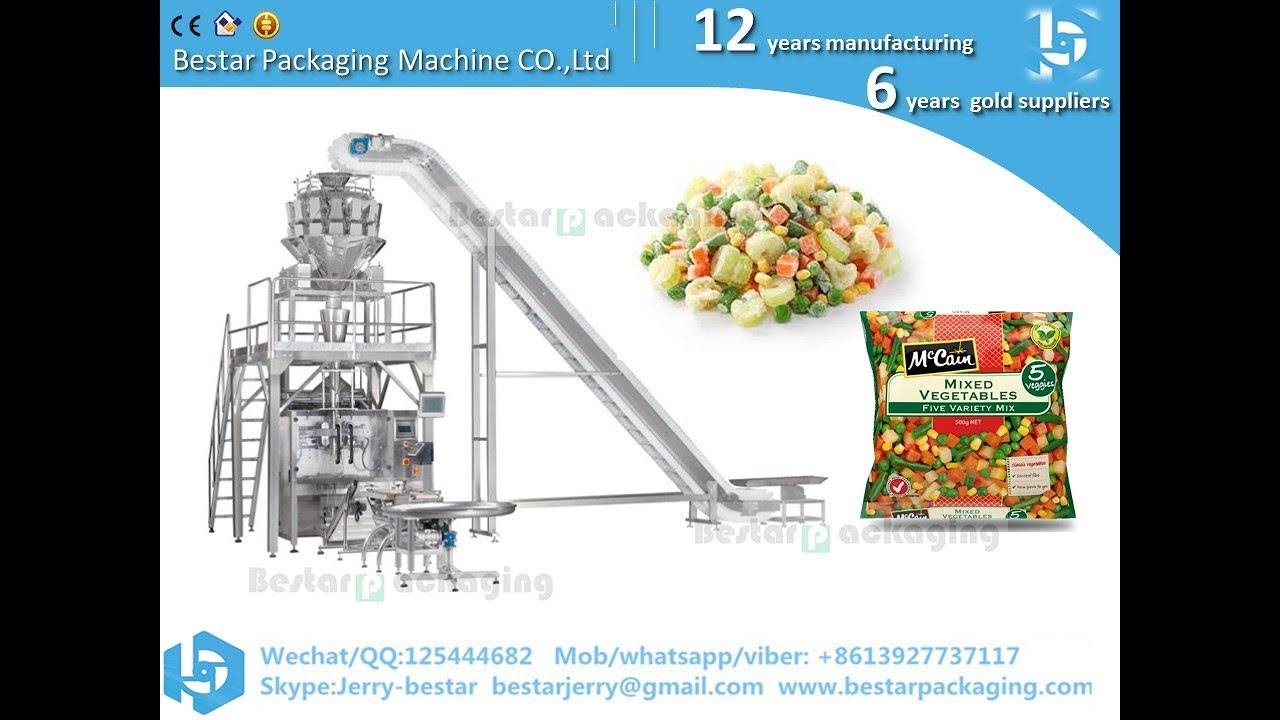 how to install the PPPVC Chain elevator for bestar packaging machine