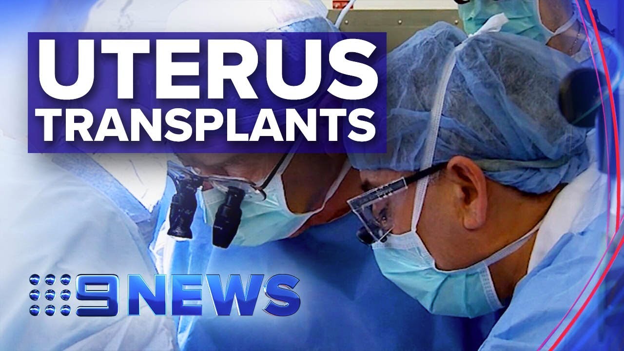 Uterus transplants in trial for women who can't fall pregnant | Nine News Australia