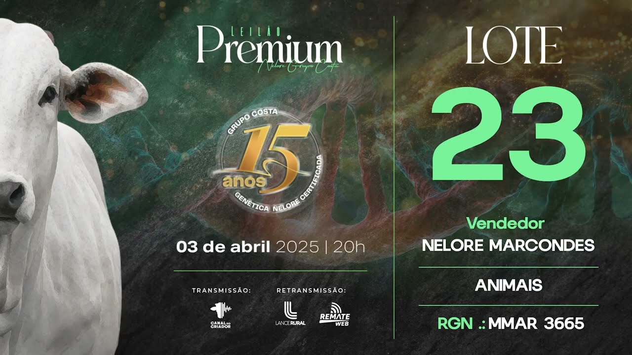 LOTE 23 MMAR 3665