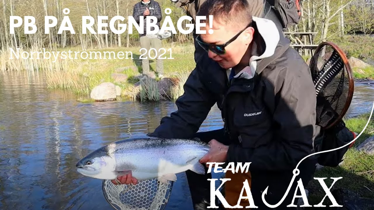 PB på Regnbåge! + 42 fiskar till! | Flugfiske 2021 | Team Kajax
