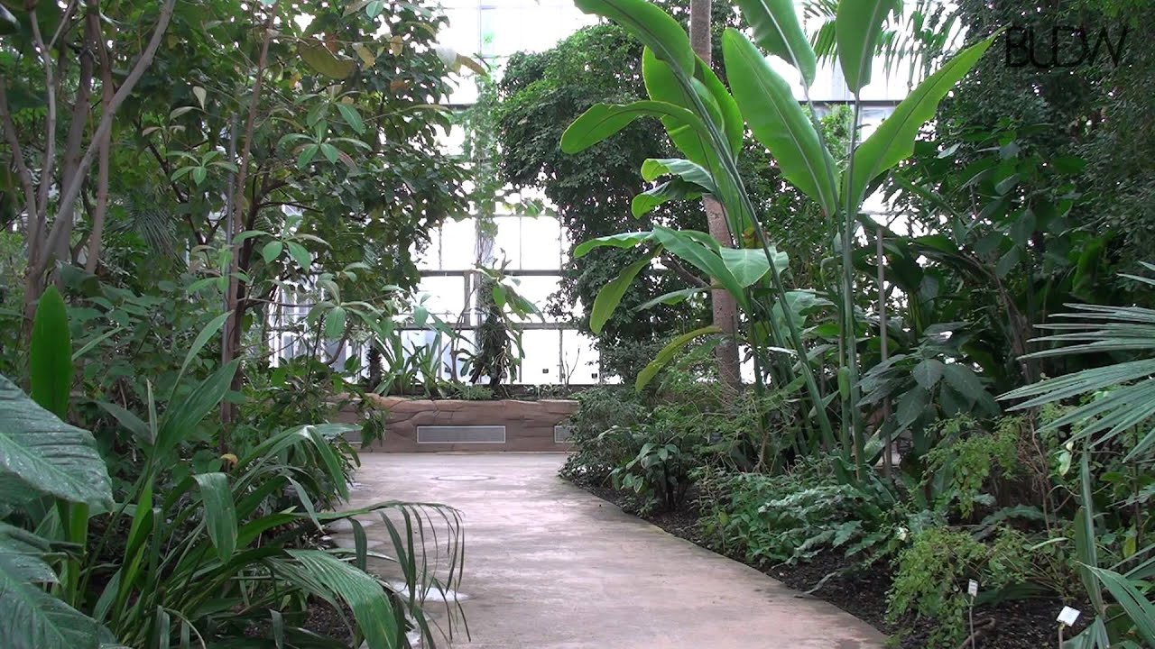 BERLIN - Botanischer Garten I