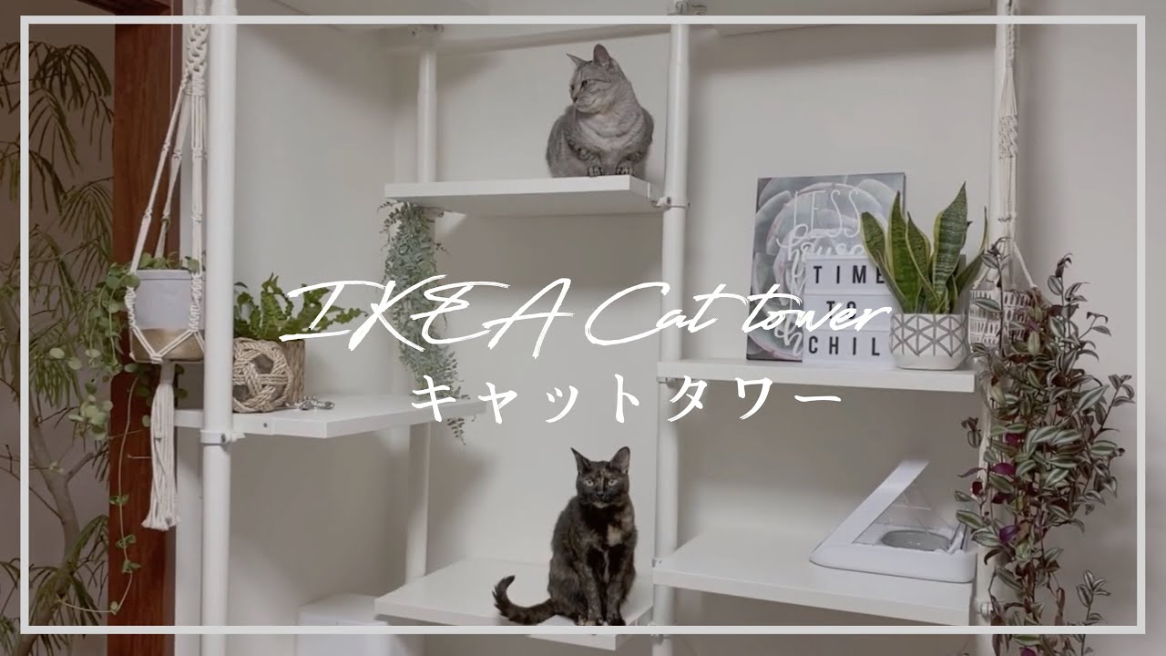 IKEAの棚をキャットタワーに変身させる〜Cat tower make over with cats~