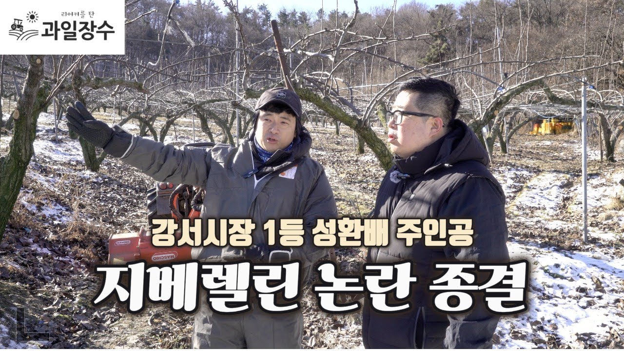 2만 3천 평 농장에서 펼쳐지는 배농사 노하우