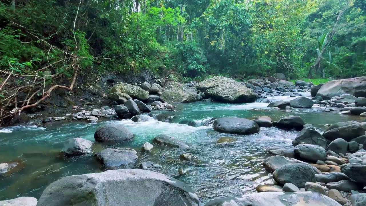 Gentle River Sounds for Sleeping, River Sounds for relaxation, Water Sounds for stress relief