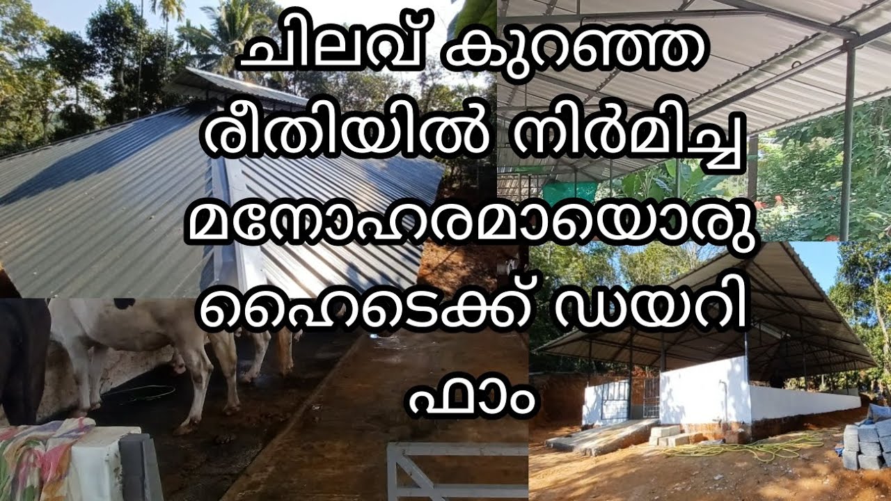 ചിലവ് കുറഞ്ഞ രീതിയിൽ നിർമിച്ച മനോഹരമായ ഹൈടെക്ക് ഡയറി ഫാം | FARM CREATOR |