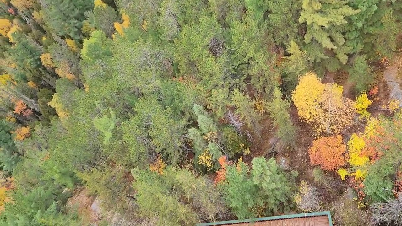 Temagami Fire Tower View in Ontario- Fall Colours