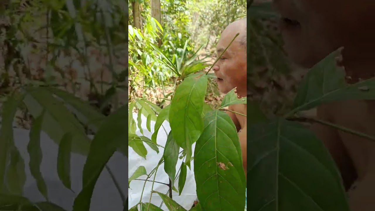 nag madali sila ate og kuya