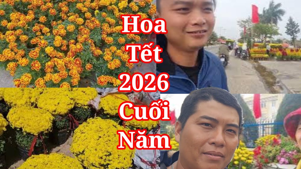 Hoa tết nguyên đán 2026 những ngày cuối năm bán ế nhưng bà con Tuy Hòa Phú Yên Vẫn cố gắng bán