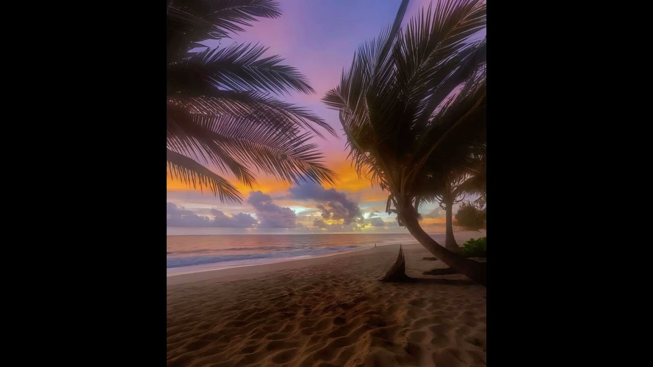 [FREE] ODEAL x NIPPA TYPE BEAT 