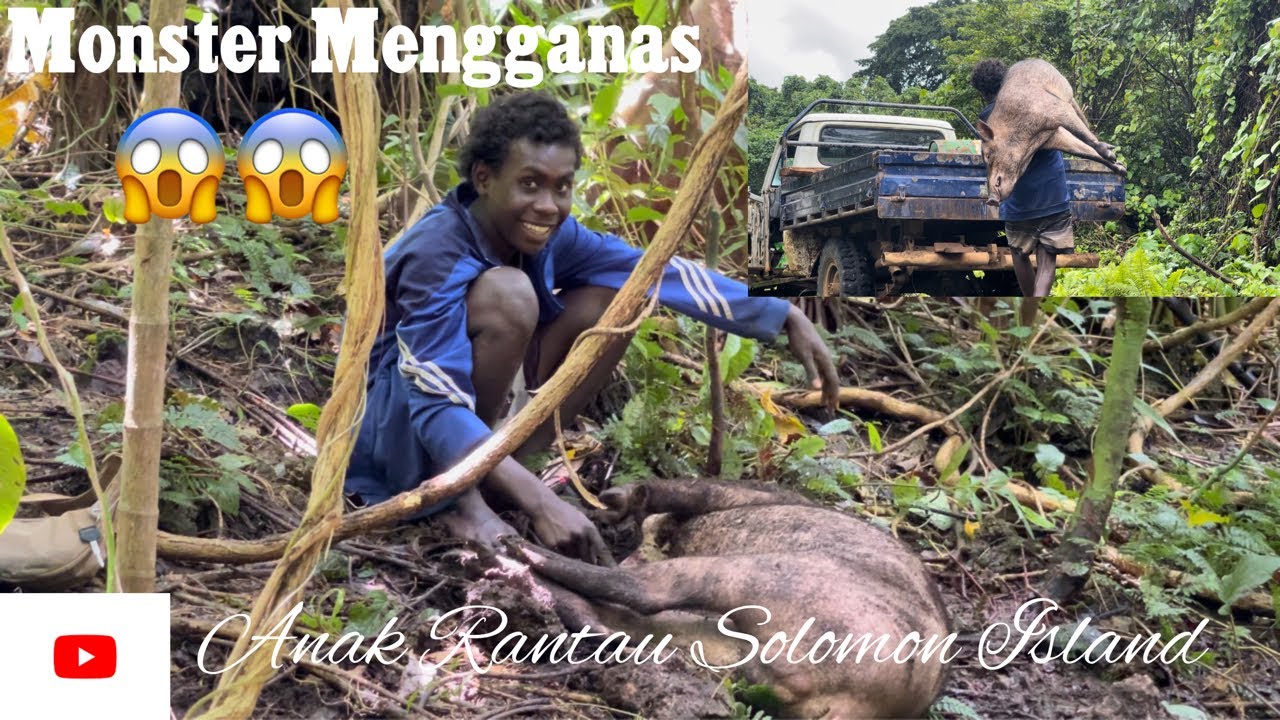 Niat Nak Menyelam Tapi Dapat B4b1 Hutan//Monster B4b1 Hutan Mengganas//Jerat Dapat Lagi
