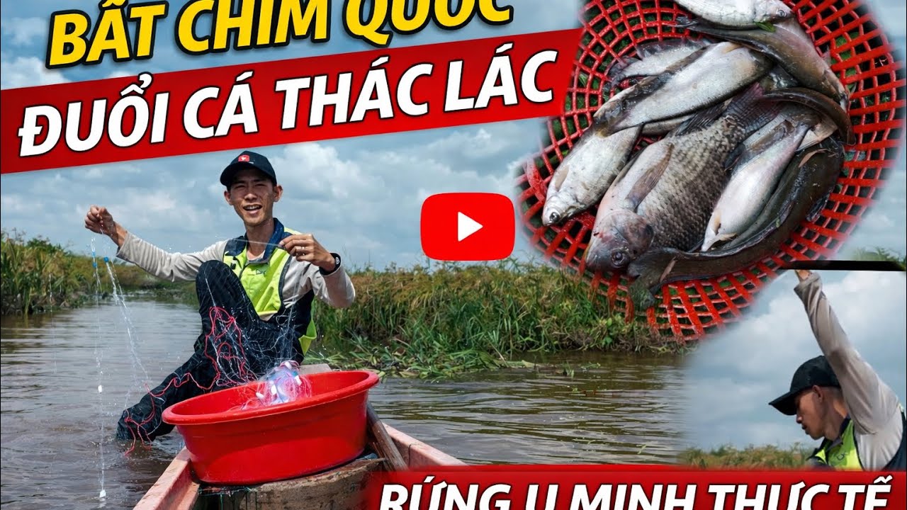 Một Buổi Ngoài Đồng Đuổi Thác Lác & Chim Quốc