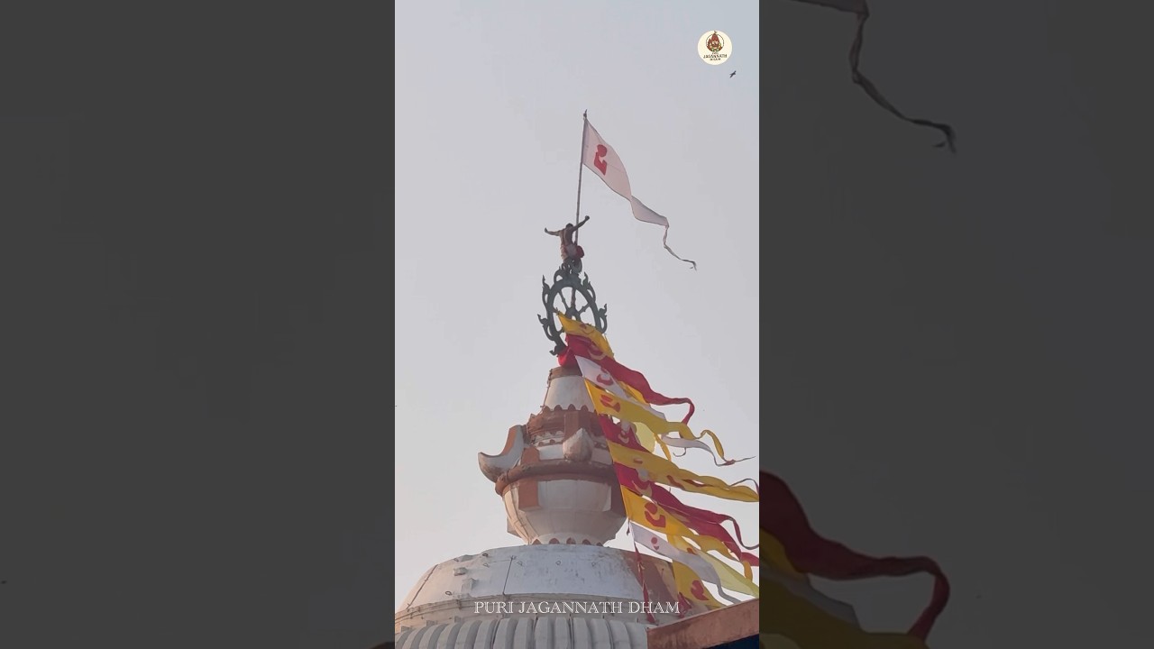 Dhwaja Bandha Ritual at Shree Jagannatha Temple #puri #short #viral #travel #jagannath
