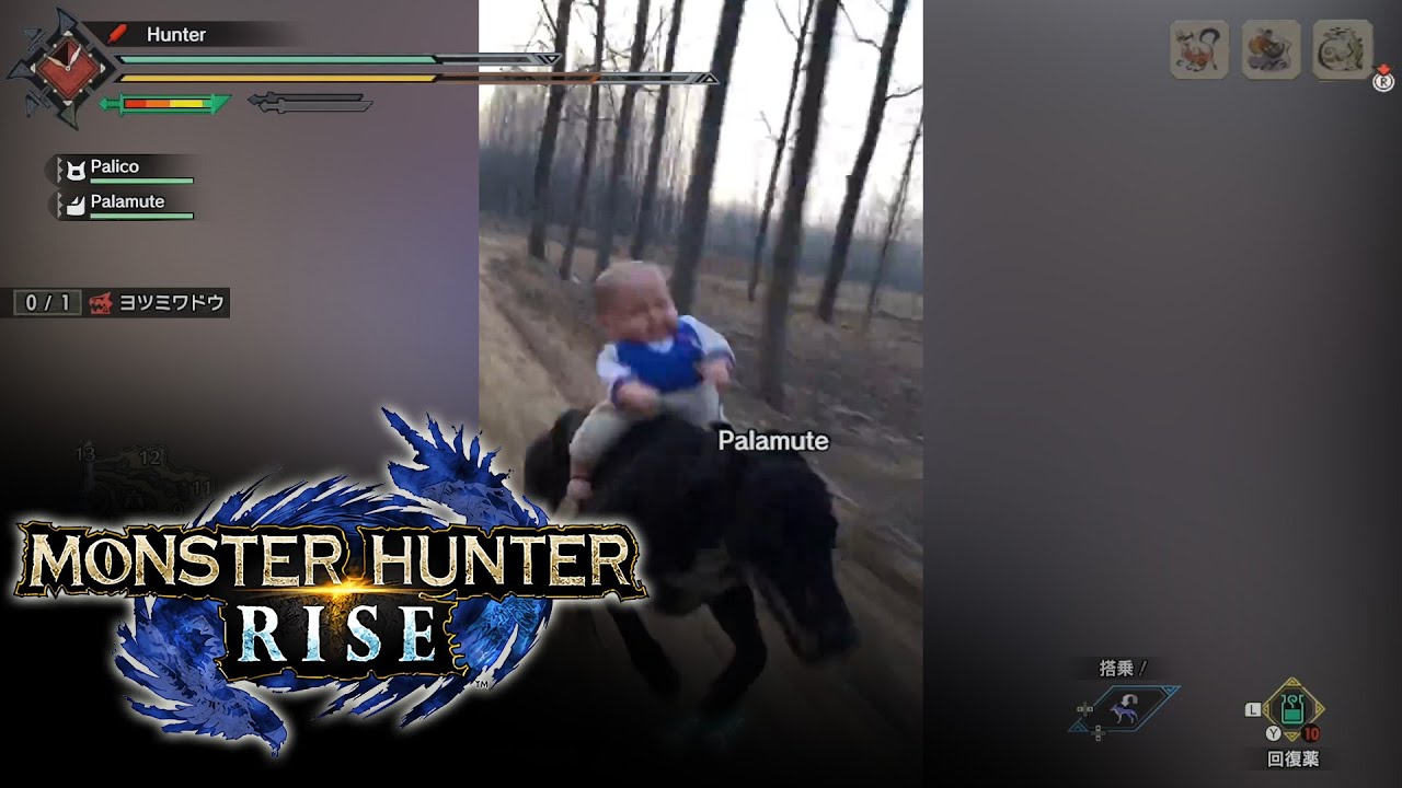 Monster Hunter Rise be like
