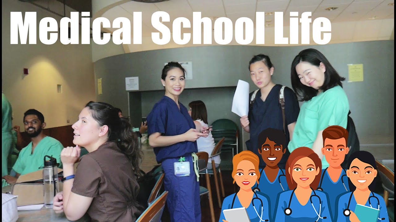 A TYPICAL DAY OF A MEDICAL SCHOOL STUDENT