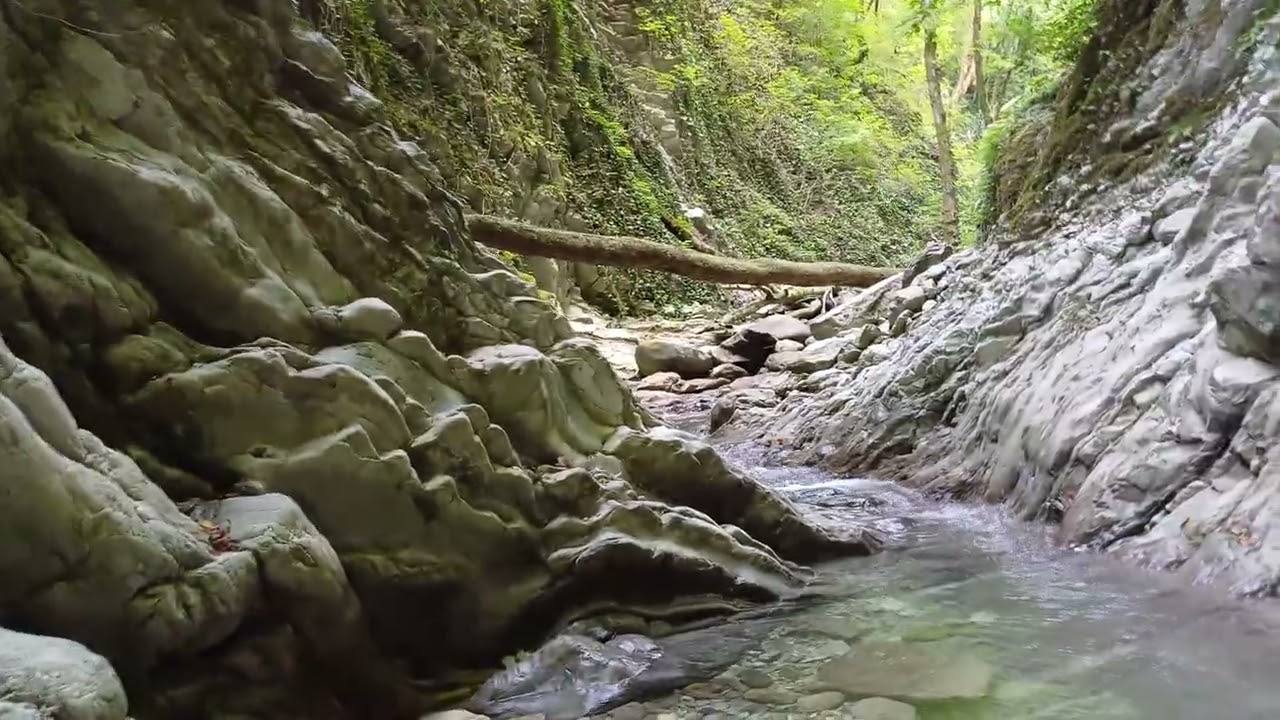 Barefoot Walk in a Mountain Stream | Forest ASMR | No Talking, Just Nature Sounds