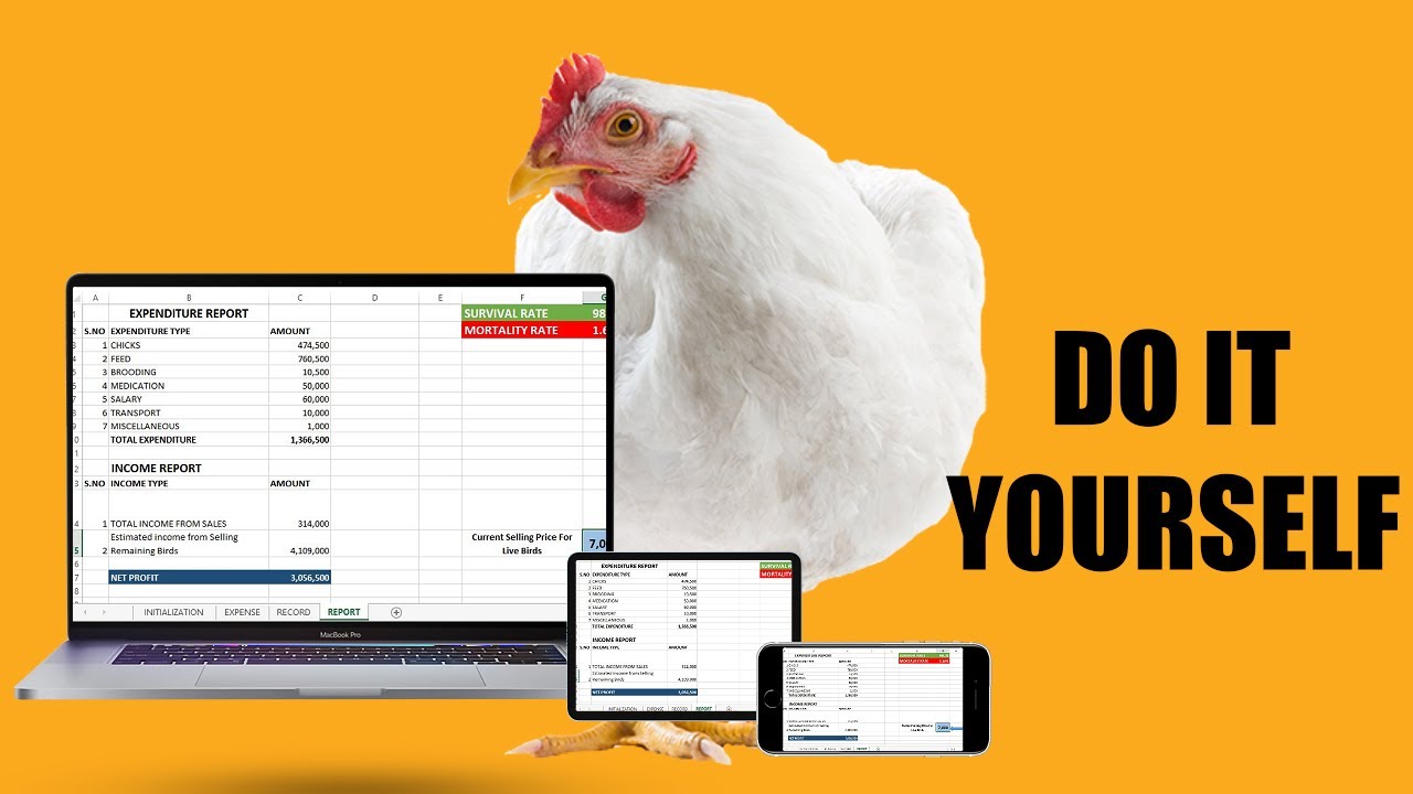 How to Create a Poultry Farm Expense Record ON EXCEL