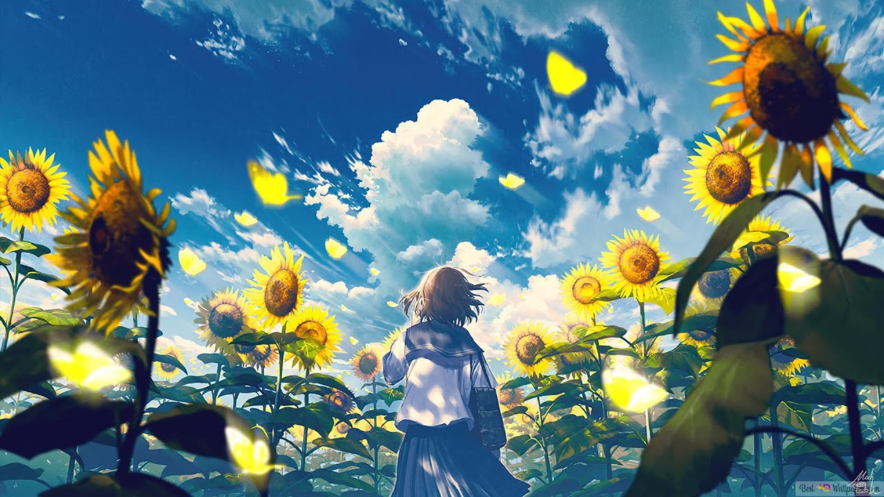 Dennis Kuo - In My Own World (@StudyMusicProject ) calm, piano instrumental