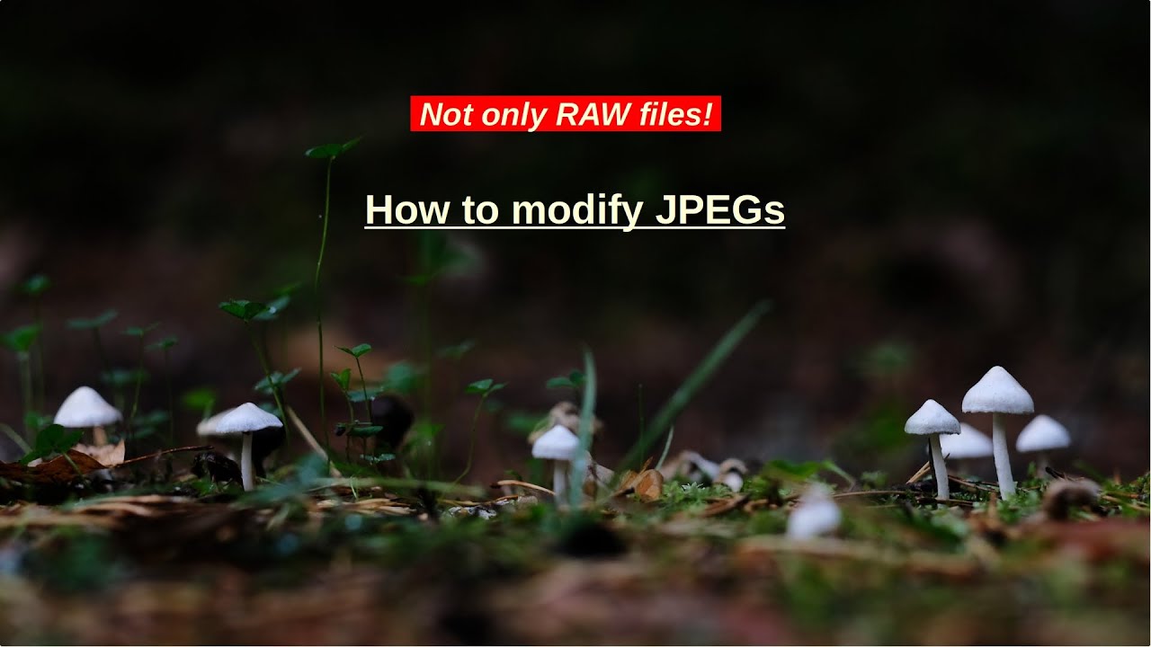 Why not retouch/edit JPEGs? --- This is how I do it. (You don’t always need RAW files.)