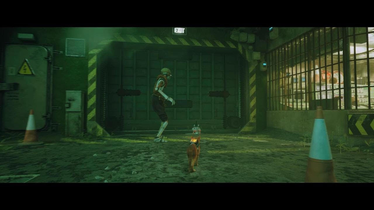Stray(Jail)