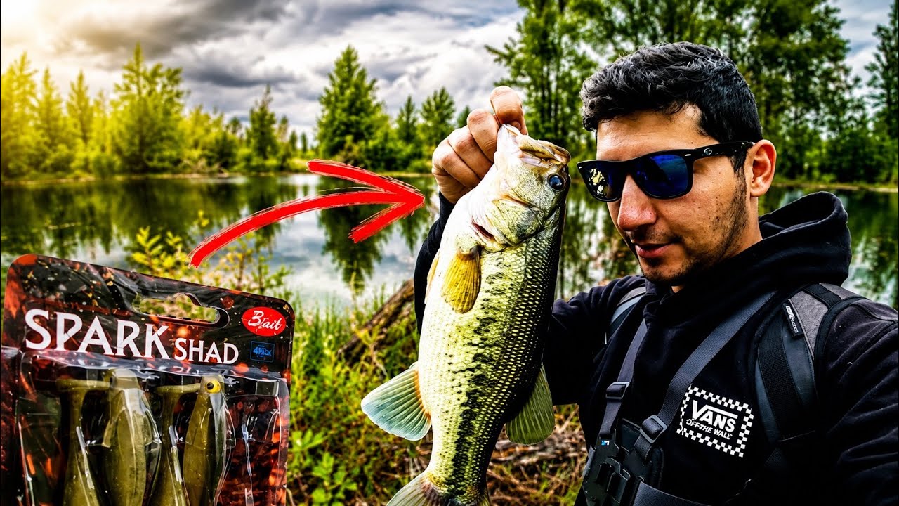 Checking My local Ponds For Spawning Largmeouth bass