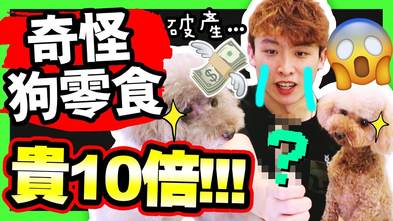 【🐶奇怪狗零食】比人類零食還要「貴十倍」😱😱！？狗兄妹接吻了…💋(中字)