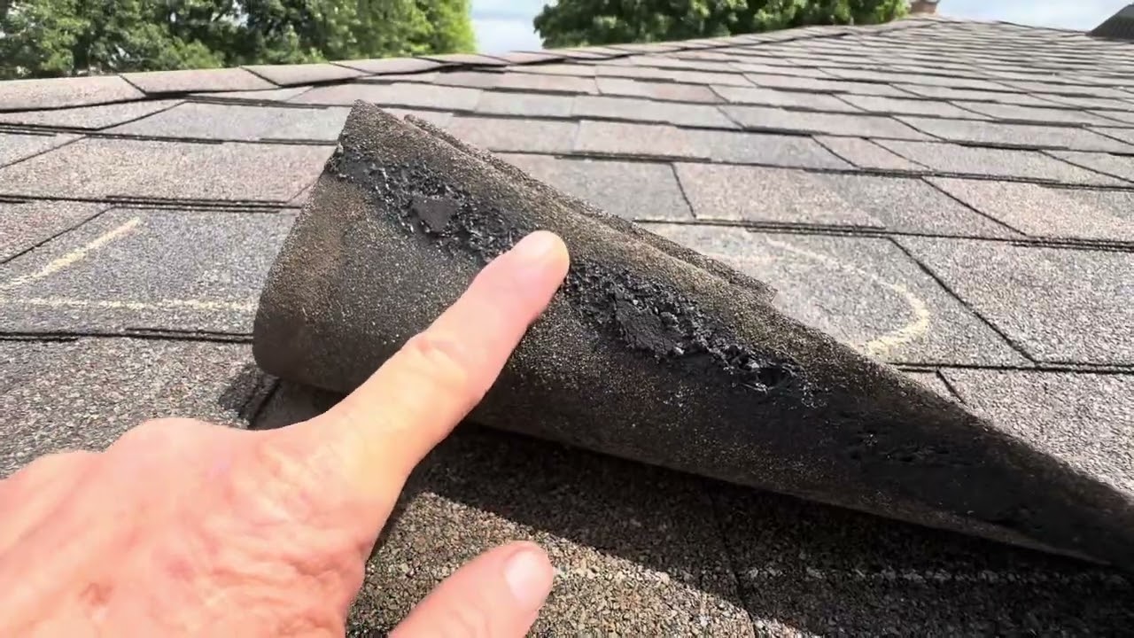 william davis repair attempt