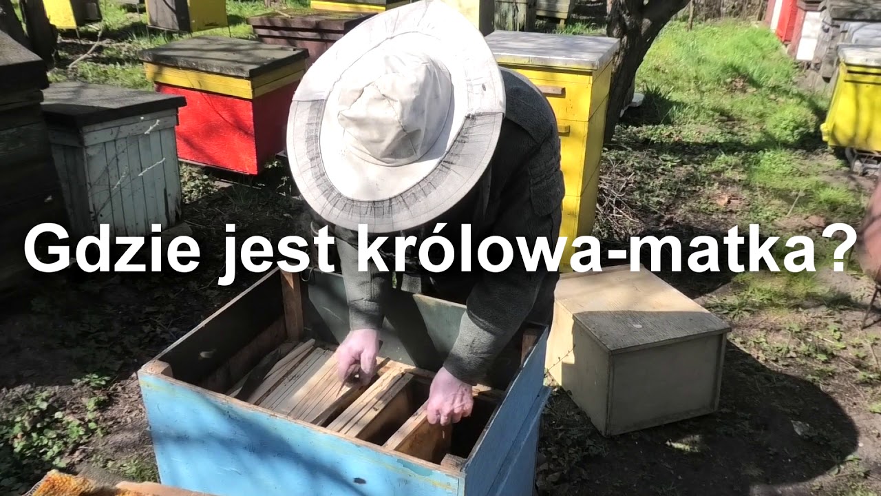 Każdy z nas może zmienić świat, cz 1