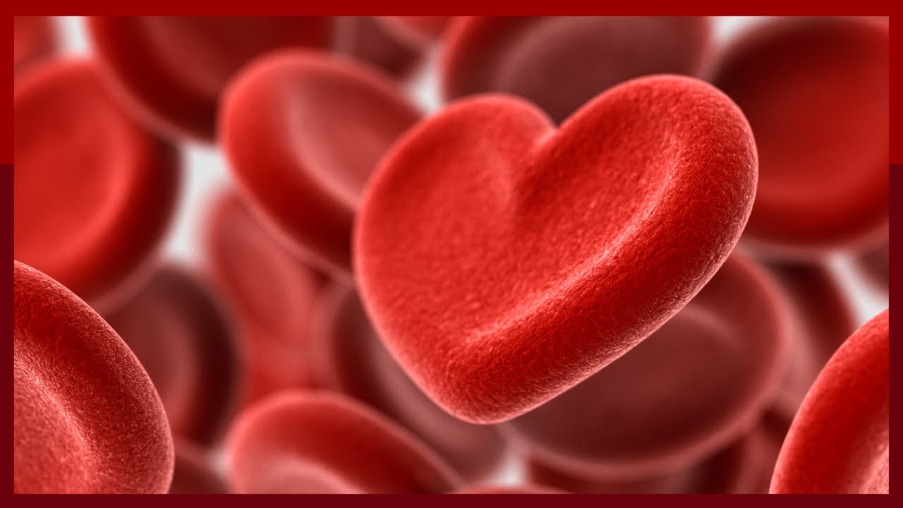 Never Stop Giving: A Conversation About Blood Donation