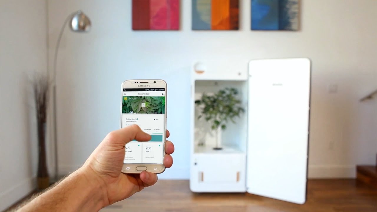 Introducing LEAF - The Plug-N'-Plant Grow System