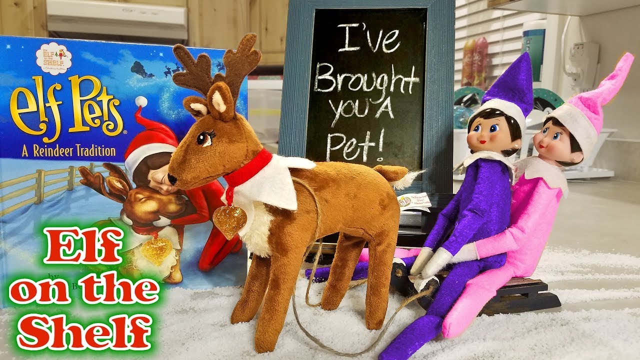Purple & Pink Elf on the Shelf - Reindeer Pet Arrives Pulling Sleigh! Day 4