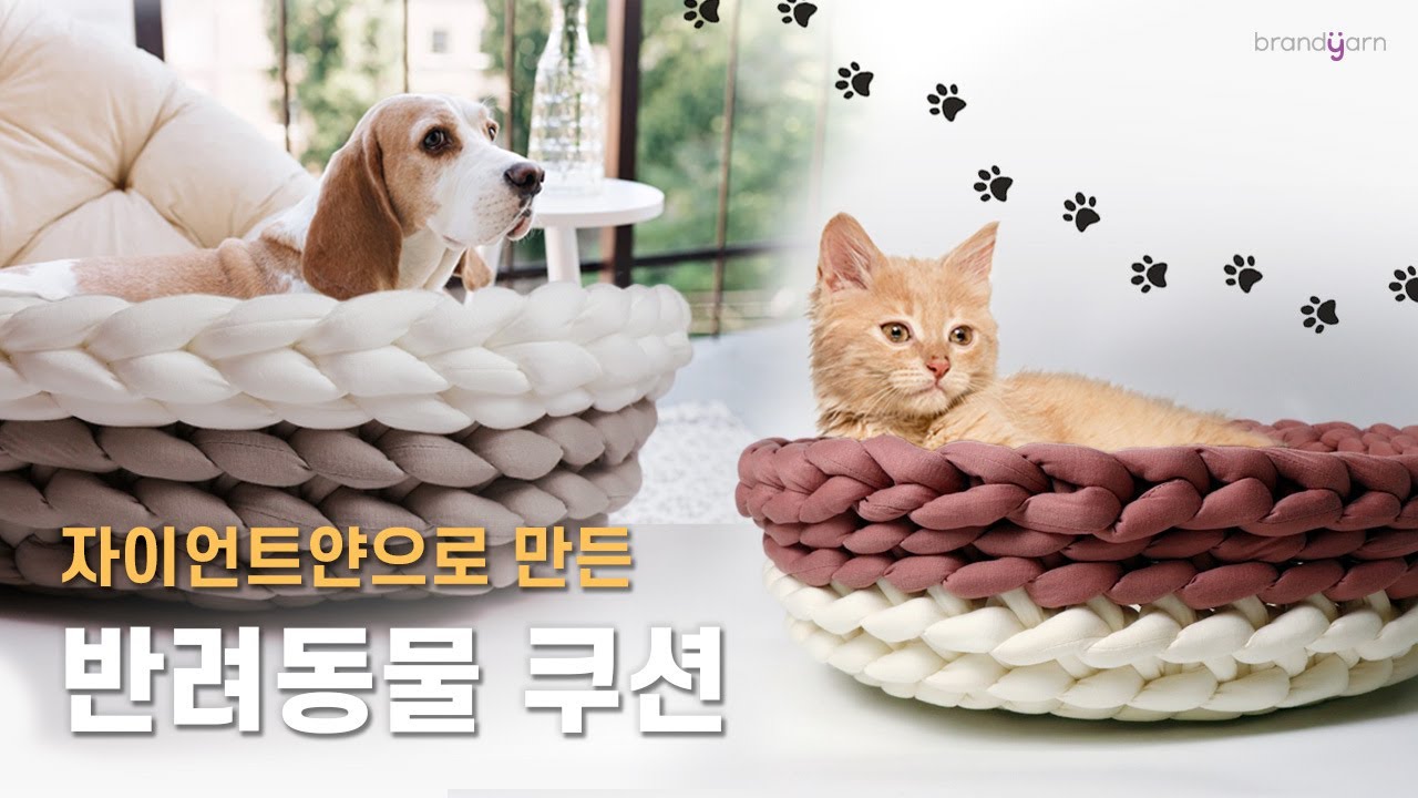 Подушка собаки🐶🐱~ Счастливое домашнее животное сегодня🐕 (ручная стрижка)