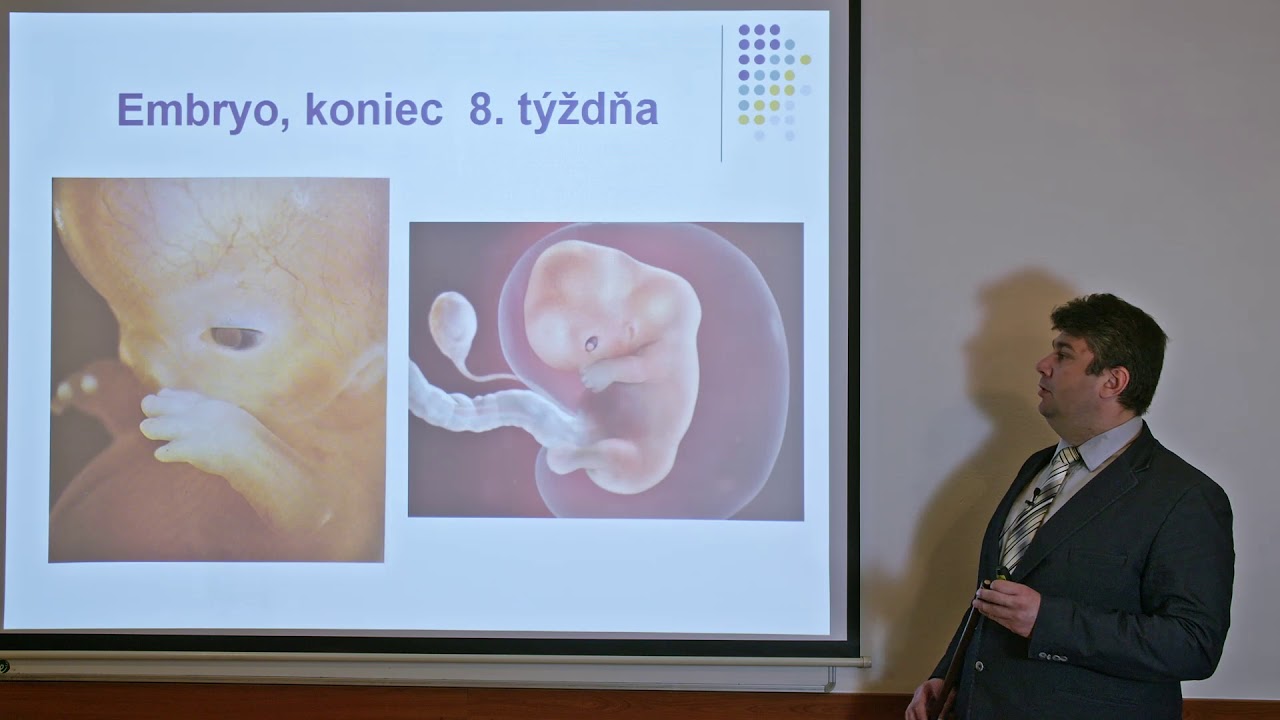 Embryológia, 1. a 2. týždeň vývinu: Oplodnenie, implantácia, dvojvrstvový zárodkový štít.