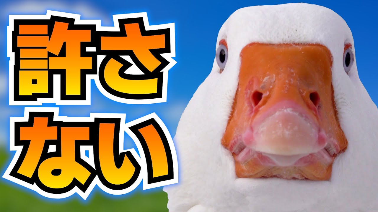 可愛いガチョウ、怒りでイカれる