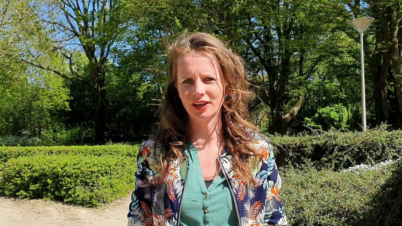 Korte uitleg drie hersengebieden: reptielenbrein, limbisch brein en neo cortex