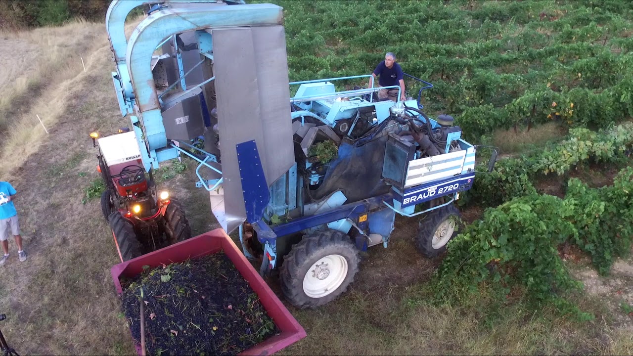 Vendanges la Cadière 2017