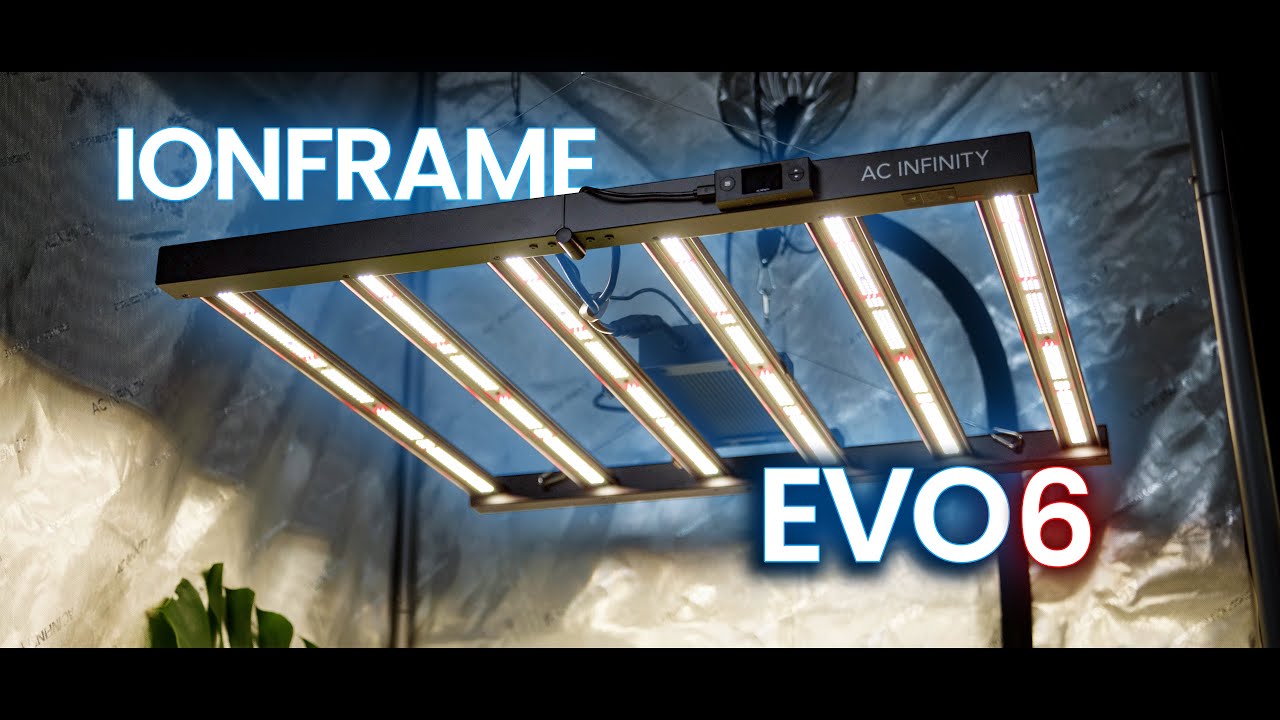 IONFRAME EVO6 | Herbal House NZ