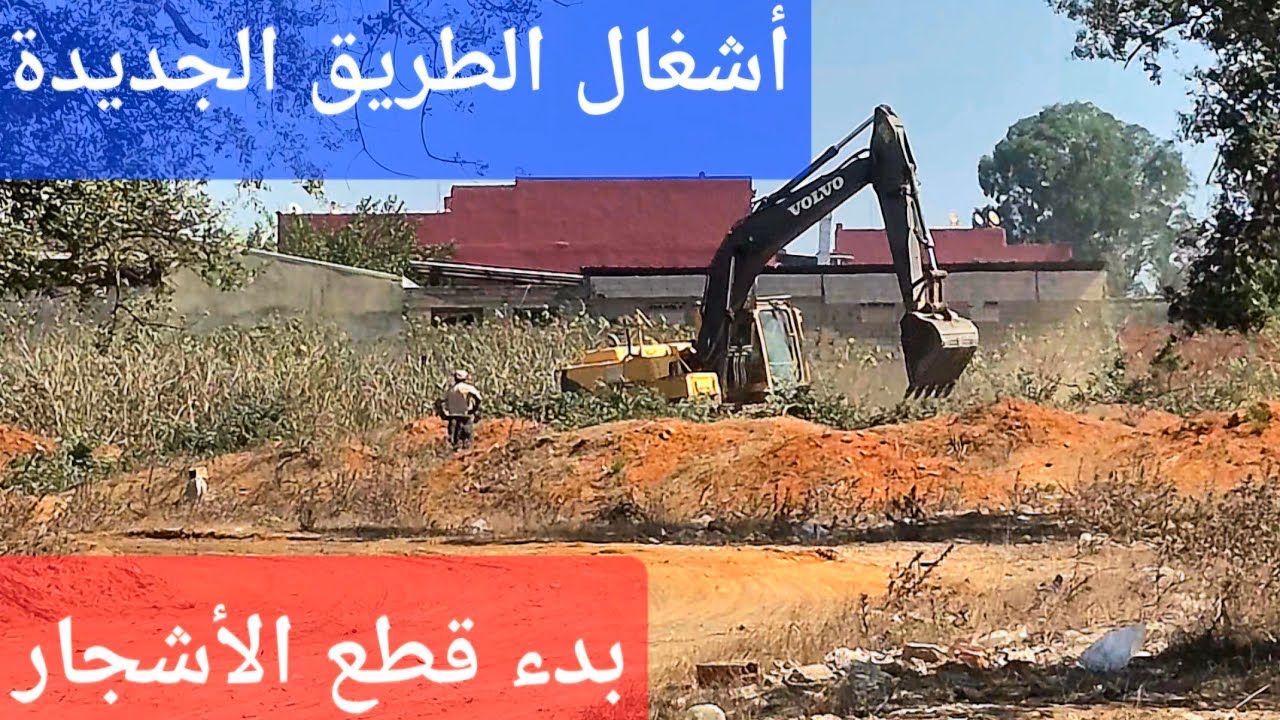 متابعة لأشغال الطريق الجديدة في الساكنية،  بدء قطع الأشجار 