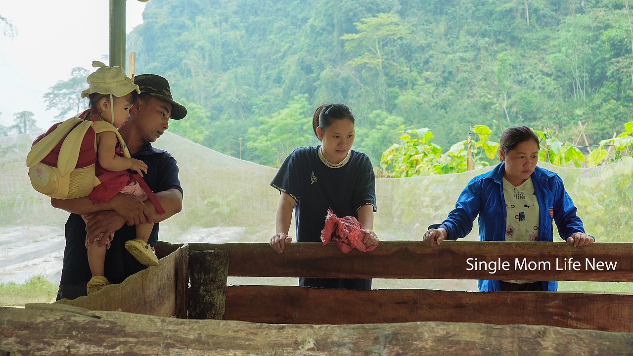 Single Mom - The meaningful gift from Uncle Ch&uacute;c helped Yến and her mother get a pair of pigs
