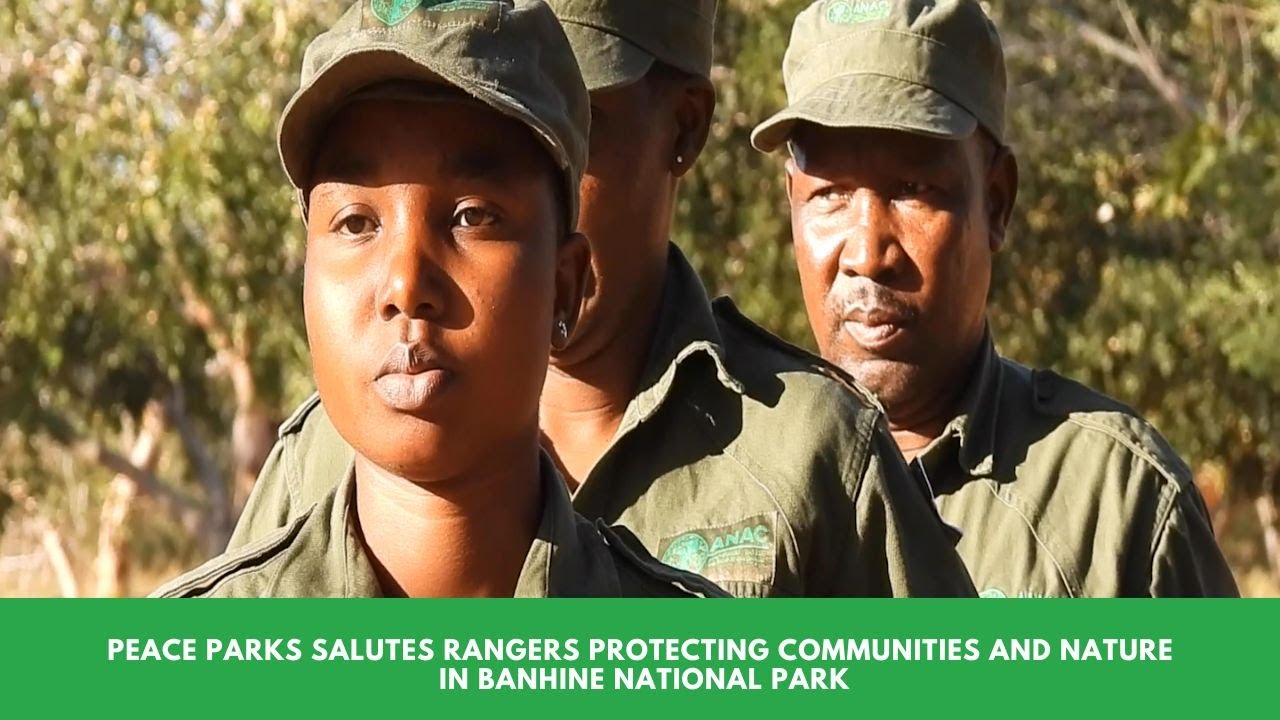 Celebrating Rangers: Guardians of Nature in Banhine