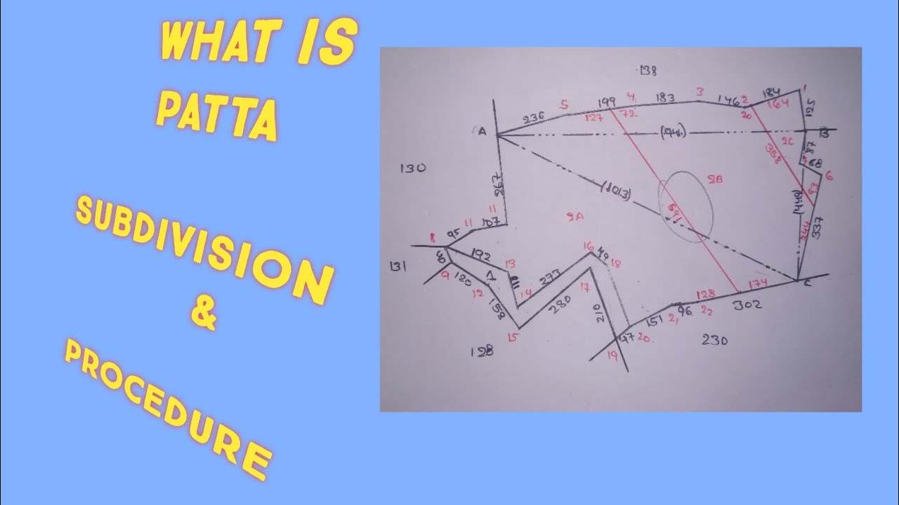 Patta subdivision & procedures
