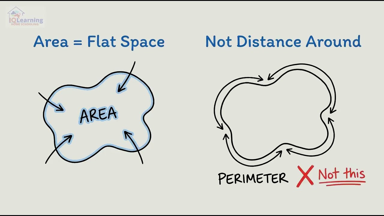 Lesson 4 Year 4 Mathematics - Measurement -Area & Perimeter: Standard Units of Area sq cm sq m