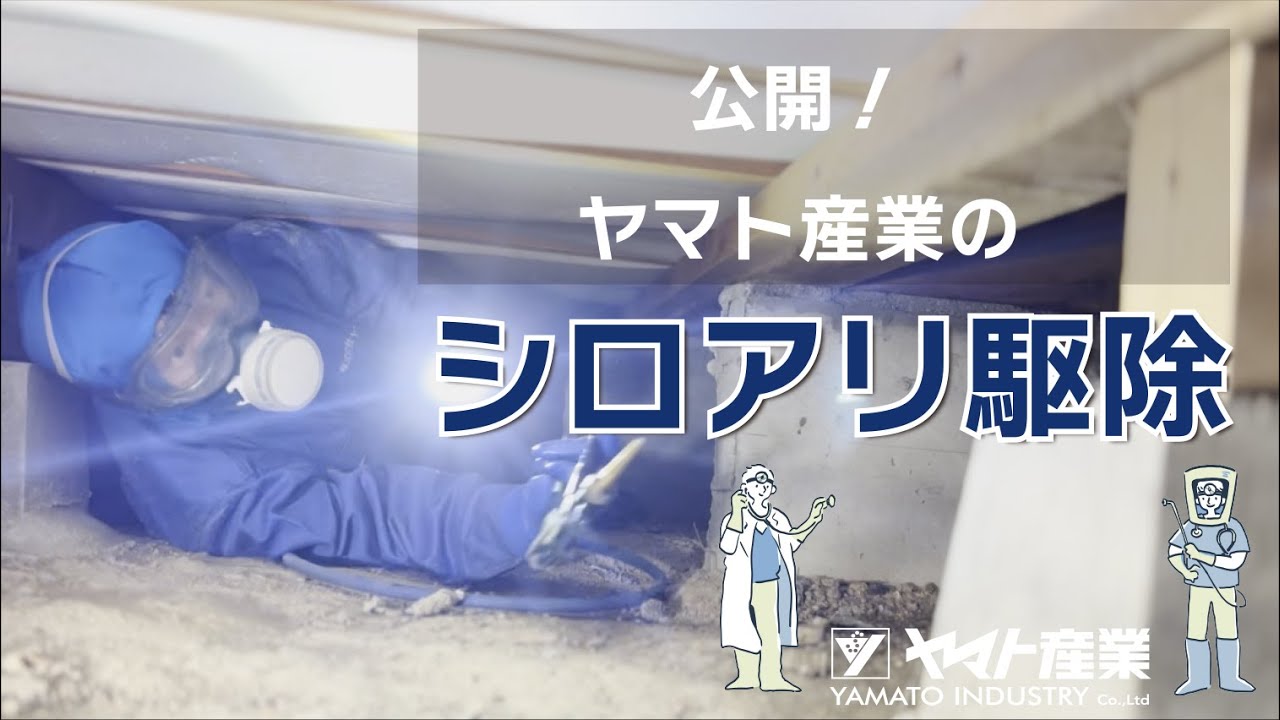 『シロアリ駆除』の全て！始まりから終わりまで、一挙公開！！