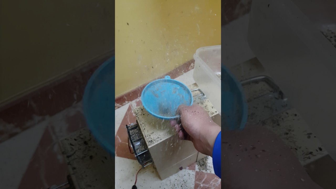 Limpiadora de alpiste ¿MERECE LA PENA?