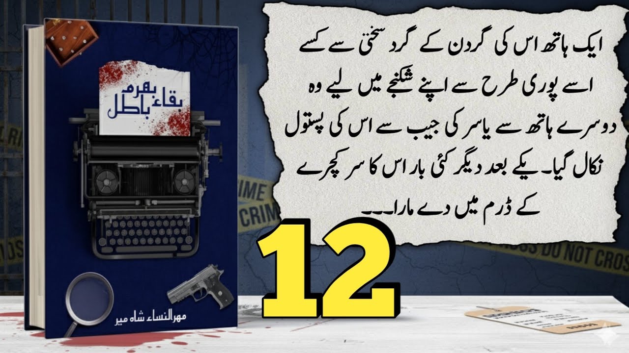 Bharam Baqa Batil | Mehrulnisa Shahmeer | Episode 12 | Chapter 2 (Complete Novel)