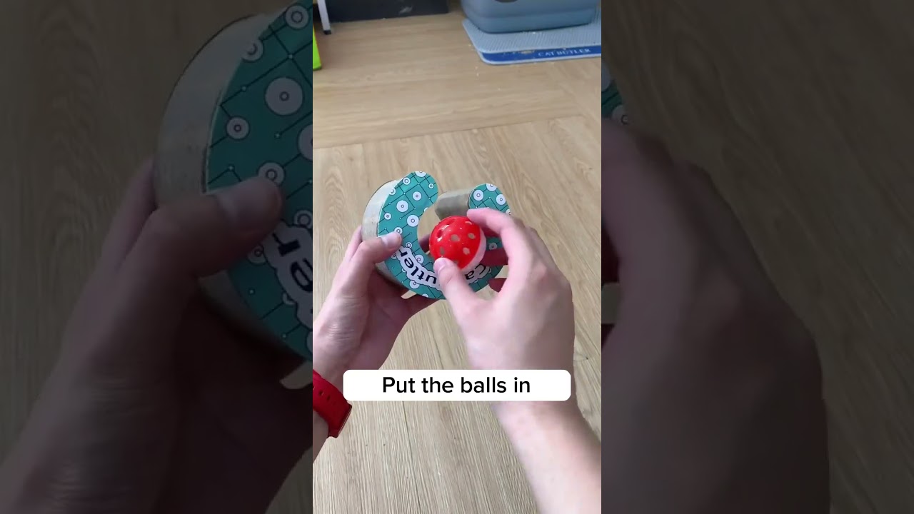 This cat toy is amazing