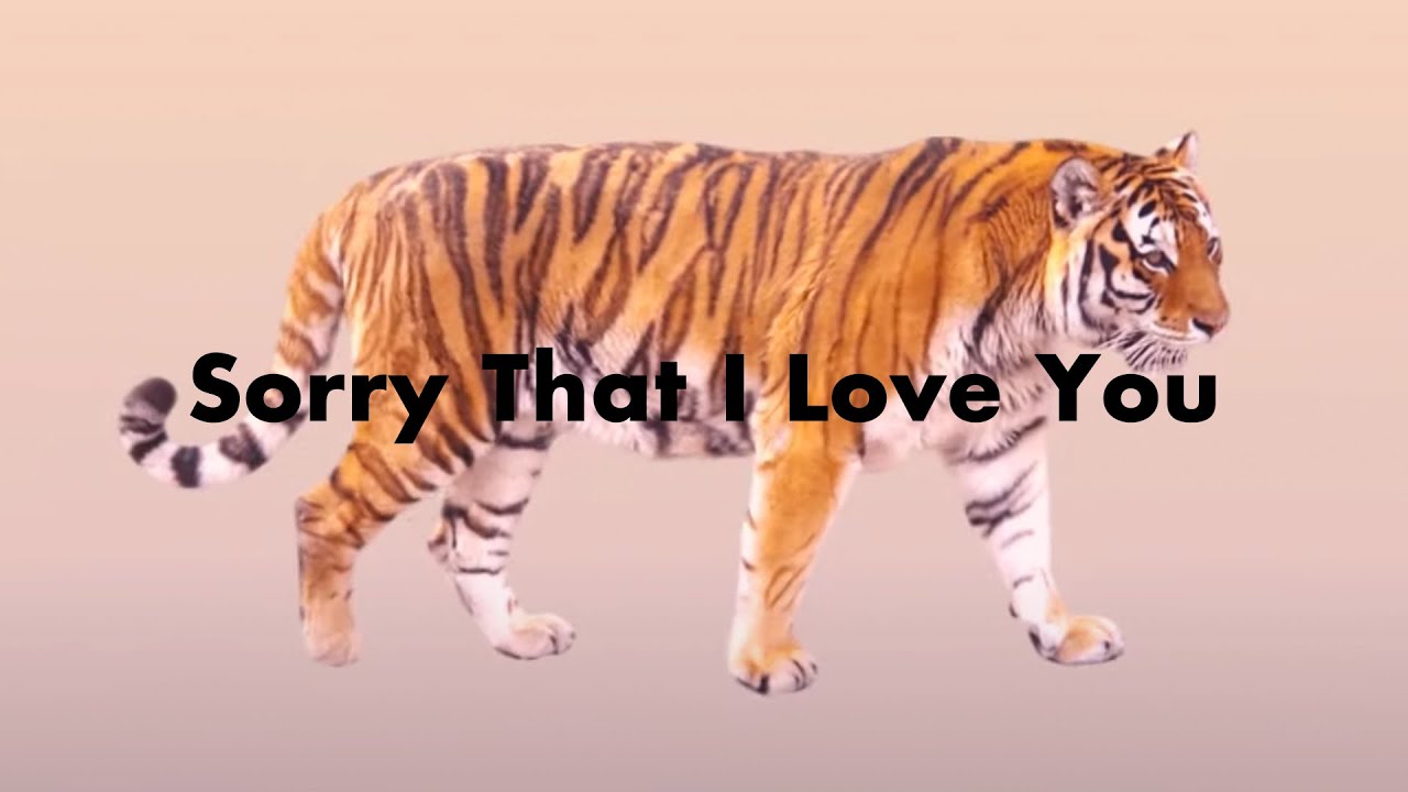 AmPm / Sorry That I Love You feat. brb. & Chocoholic (Lyric Video)
