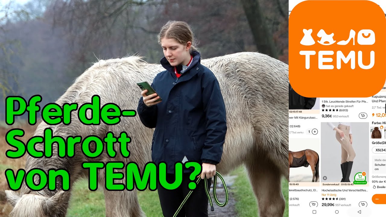 Sind Pferdesachen von Temu zu gebrauchen?